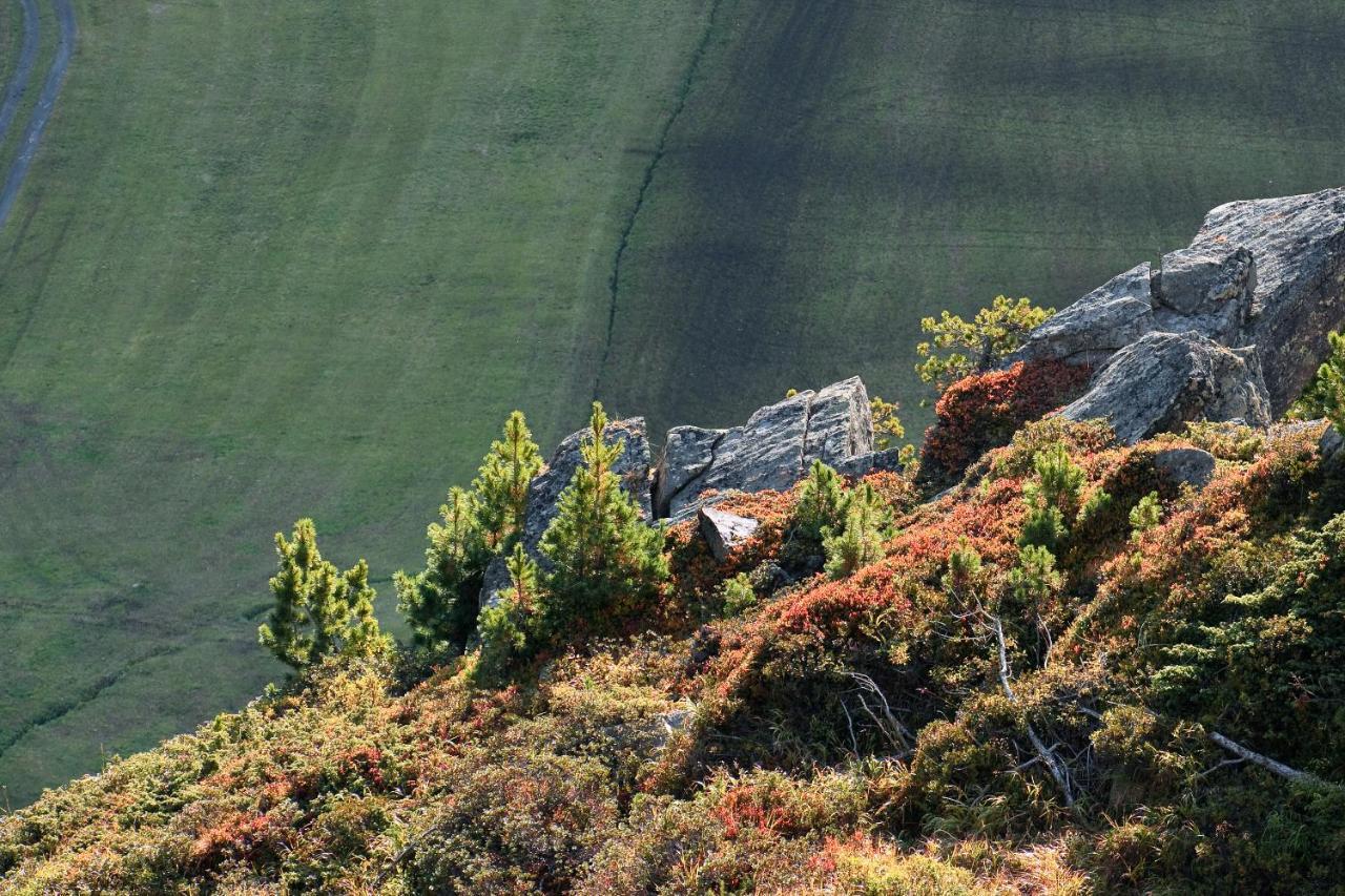 Viktoria Soelden Hotel Kültér fotó